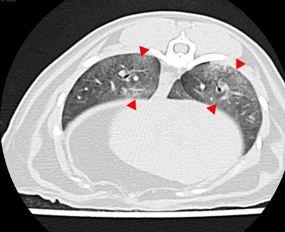 Figure 7