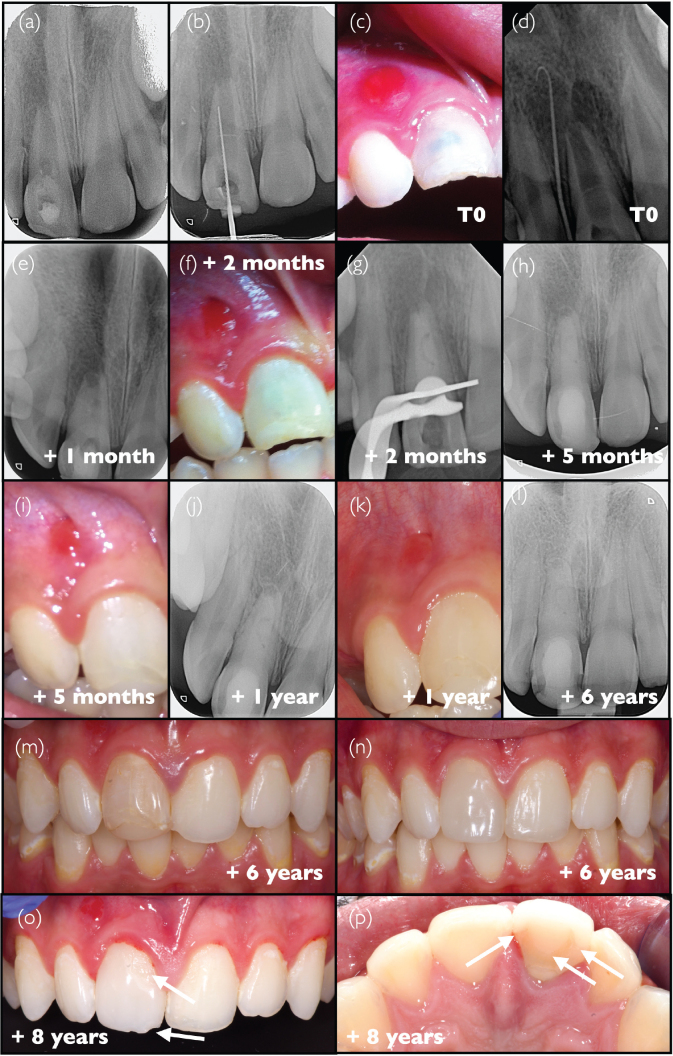 Figure 7