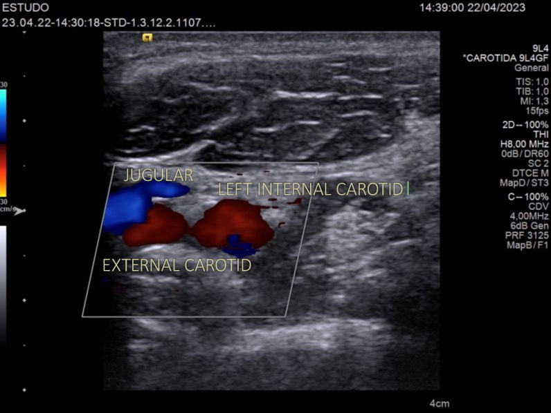 Figure 5