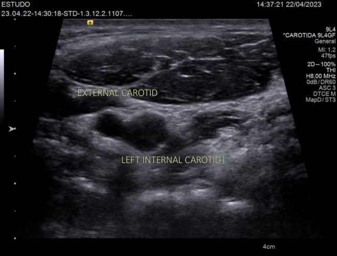 Figure 7