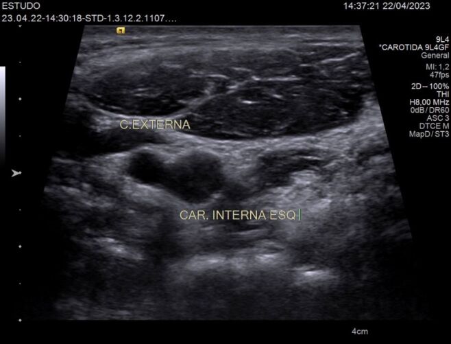 Figure 8