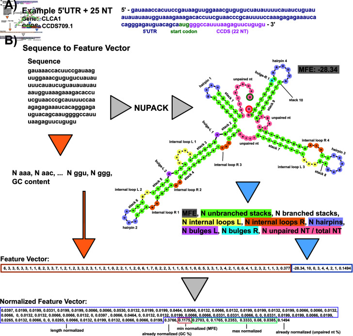 Figure 25