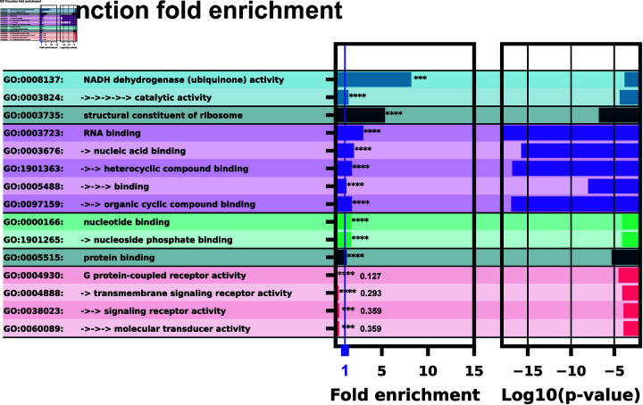 Figure 31