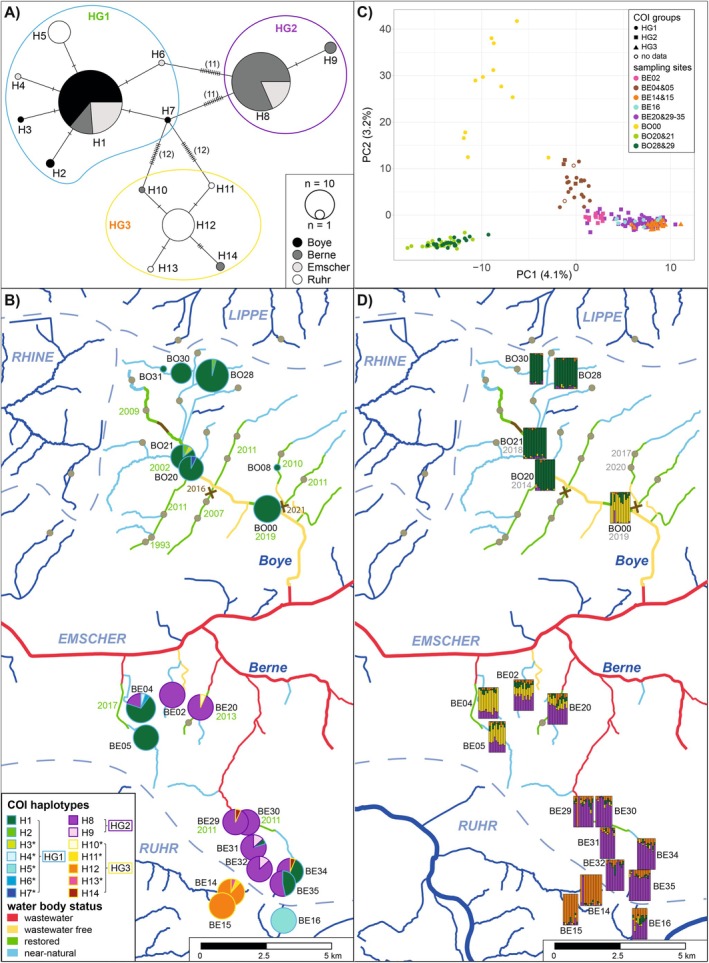 FIGURE 3