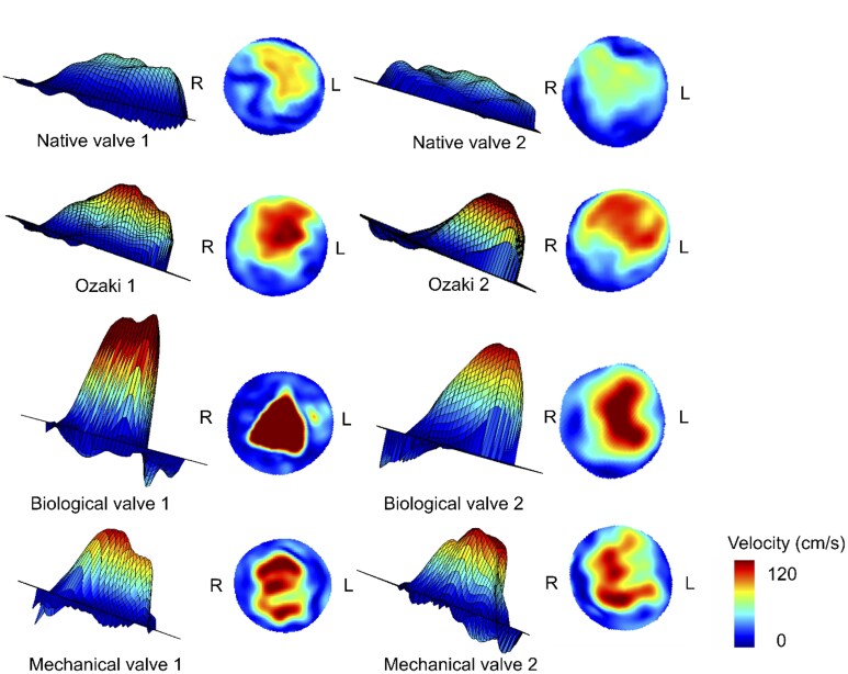 Figure 6