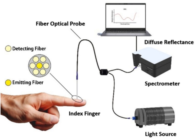 FIGURE 2