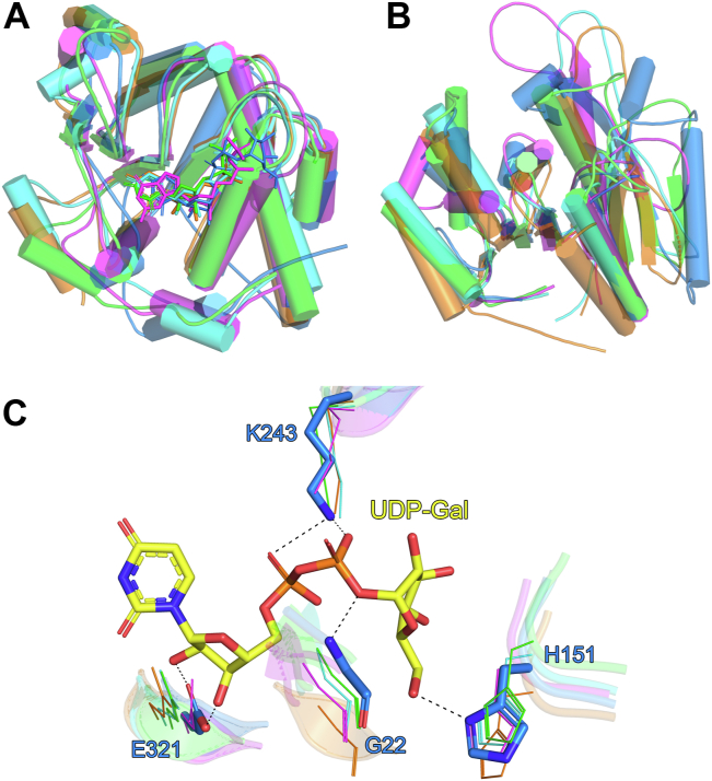 Figure 4