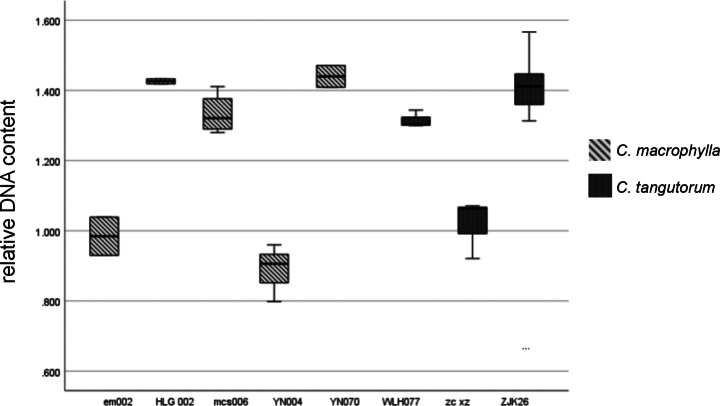Figure 6