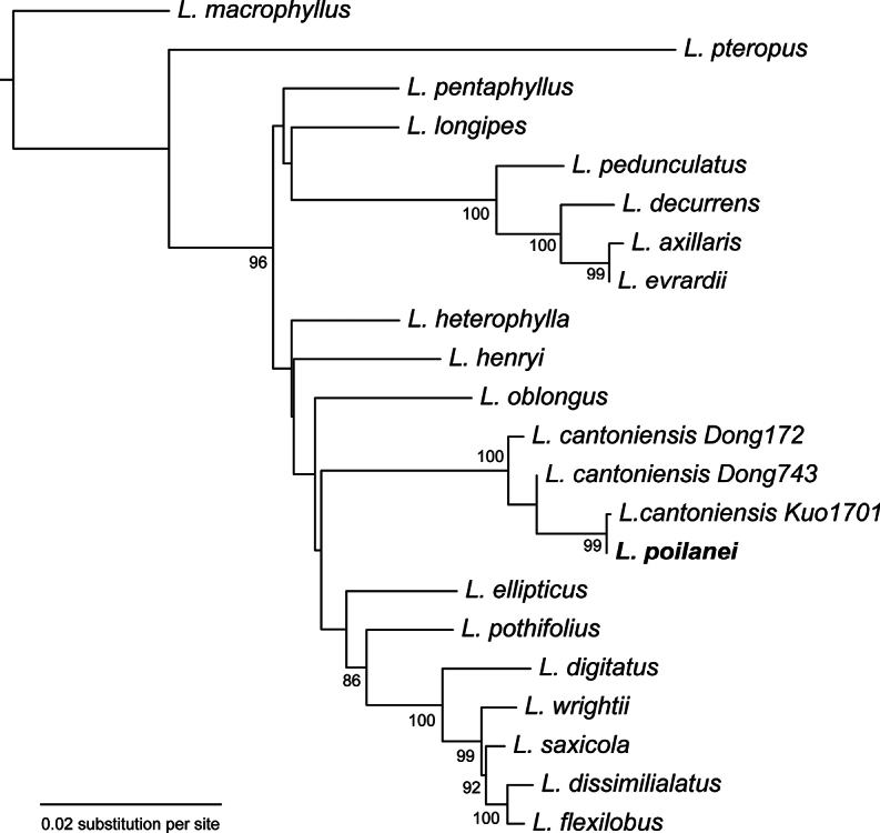 Figure 6