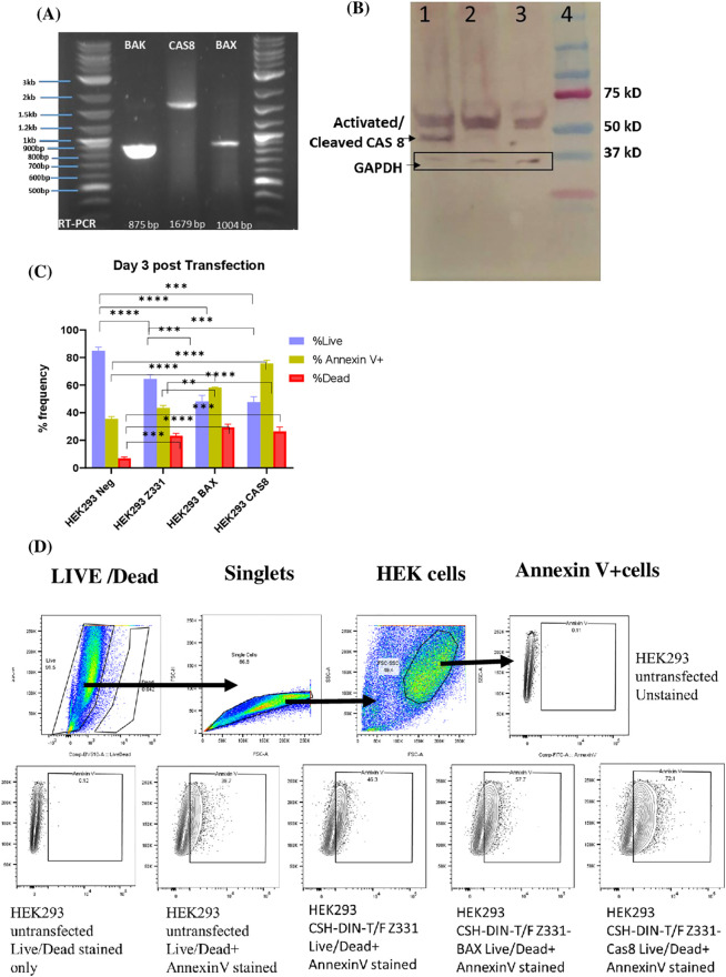 Figure 2