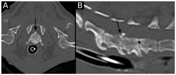Figure 7