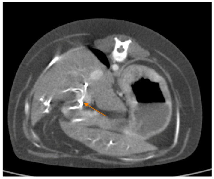 Figure 7