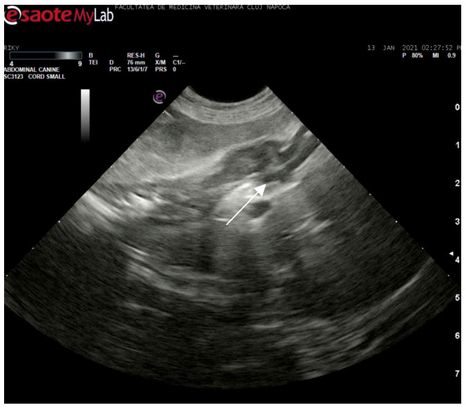 Figure 8