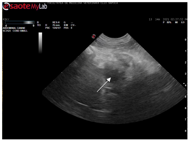 Figure 9