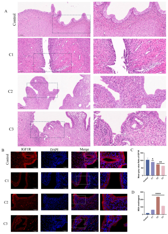 Figure 9