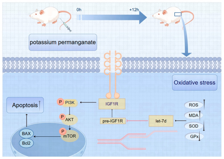 Figure 10