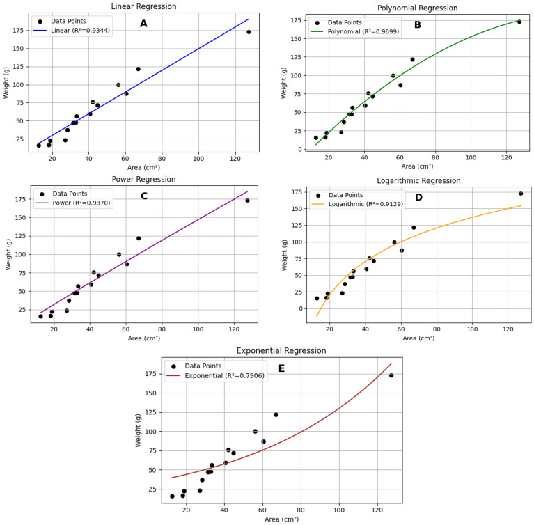 Figure 7