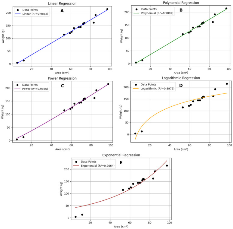 Figure 11