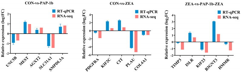 Figure 7