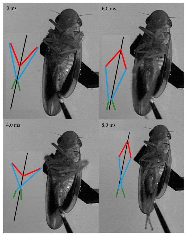 Figure 12
