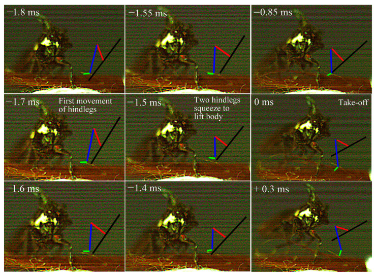 Figure 13