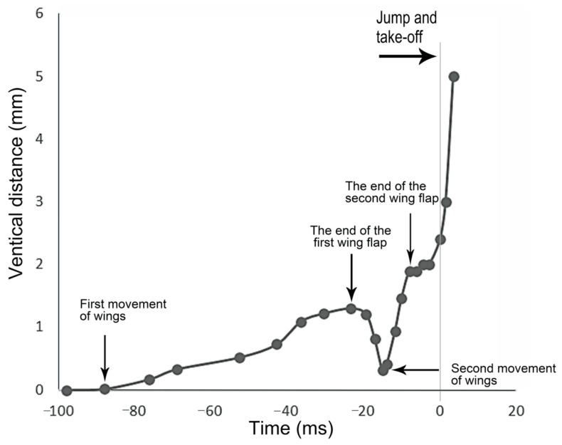 Figure 15