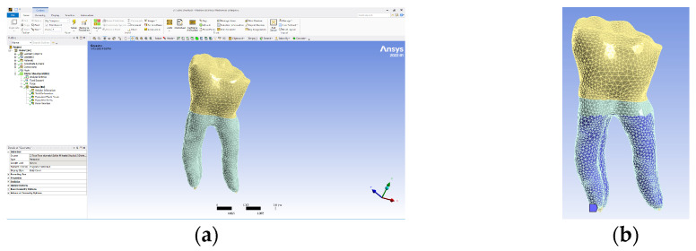 Figure 12