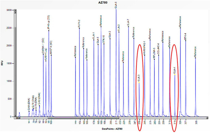 Figure 6
