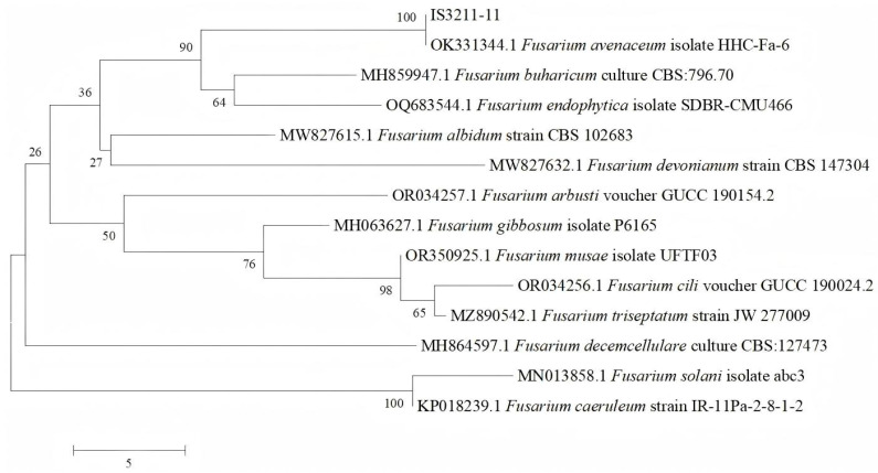 Figure 4