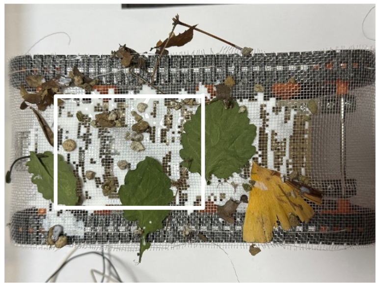 Figure 24