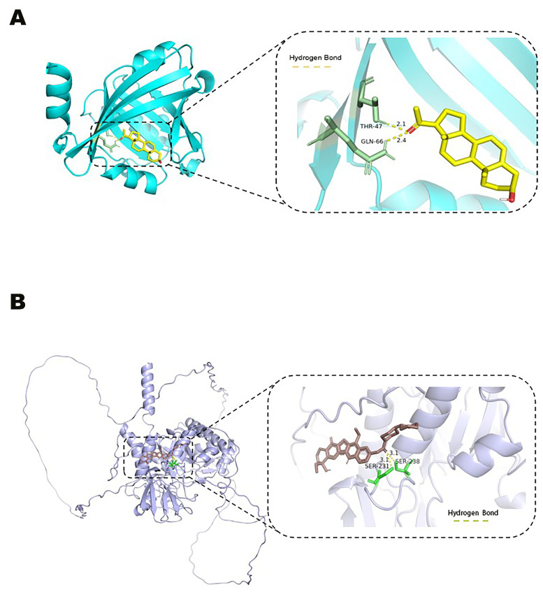 Figure 6