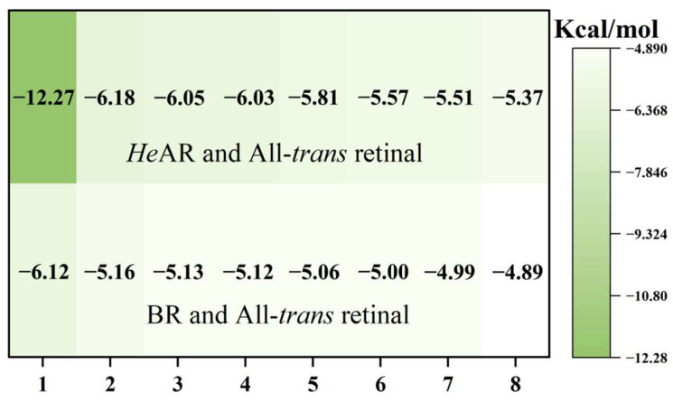 Figure 12