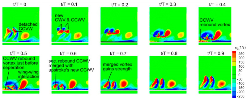 Figure 21