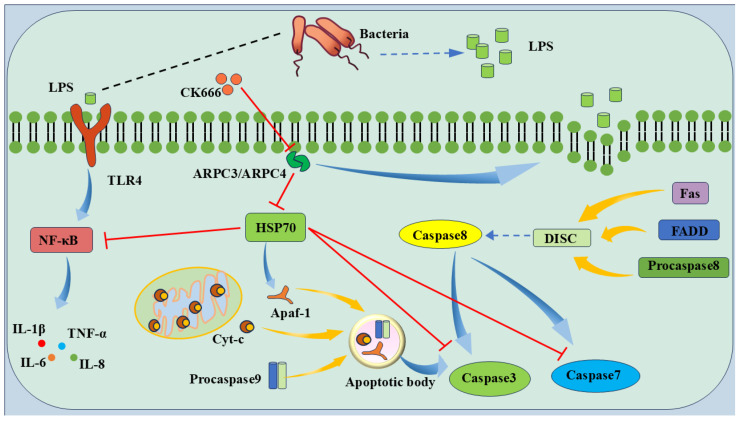 Figure 10
