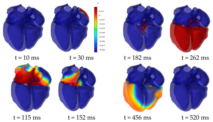 Figure 12