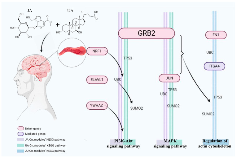 Figure 6