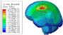 Figure 24