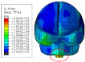 Figure 44