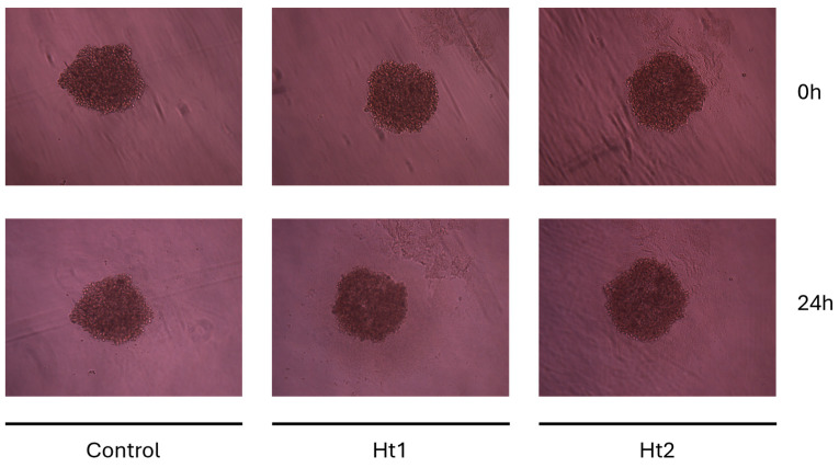 Figure 7