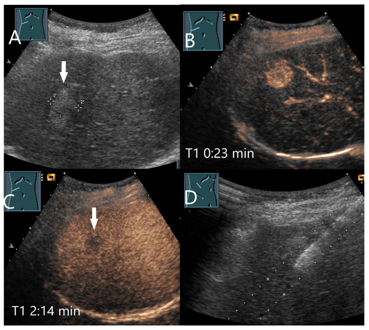 Figure 7