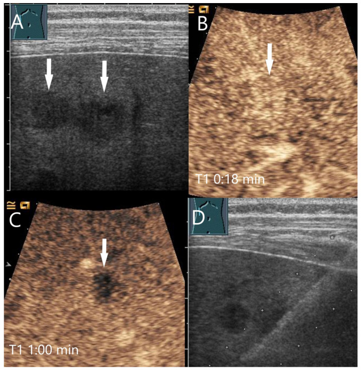 Figure 10