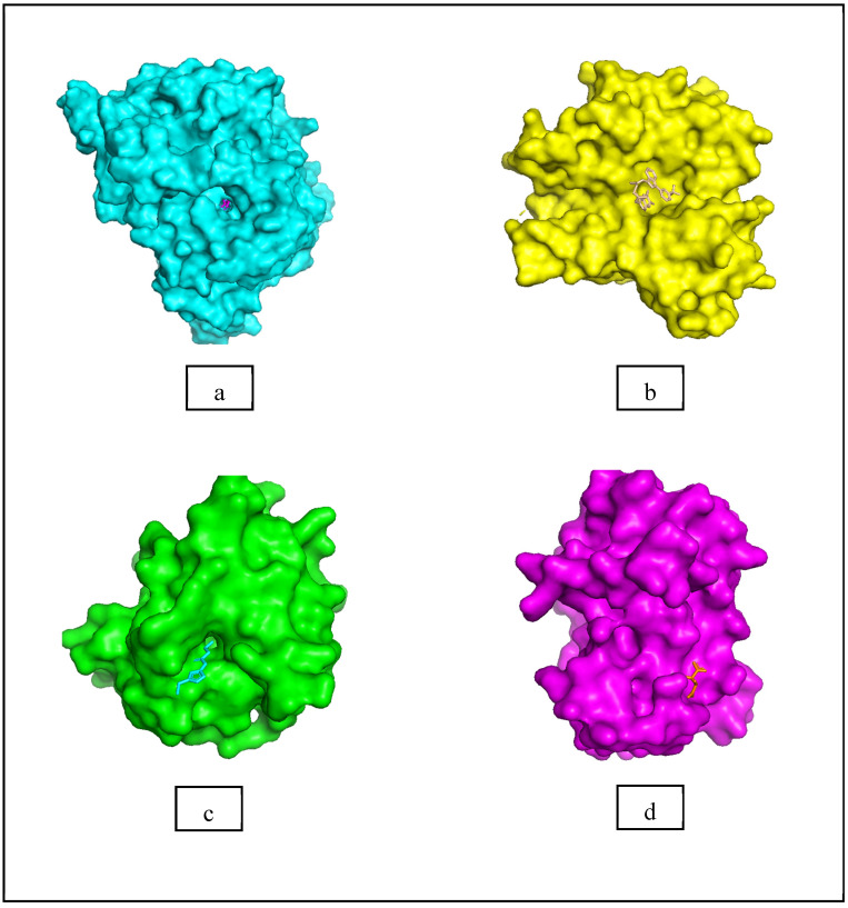 Figure 8