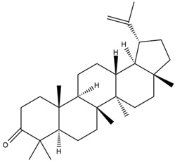 Figure 32