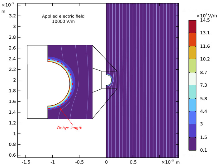 Figure 10