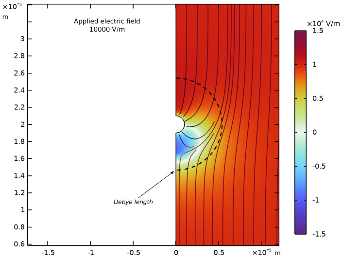Figure 13