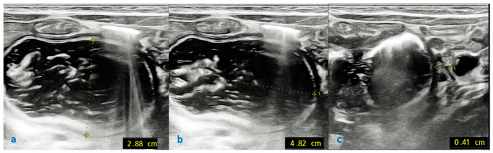Figure 10