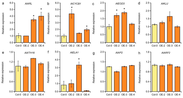 Figure 6