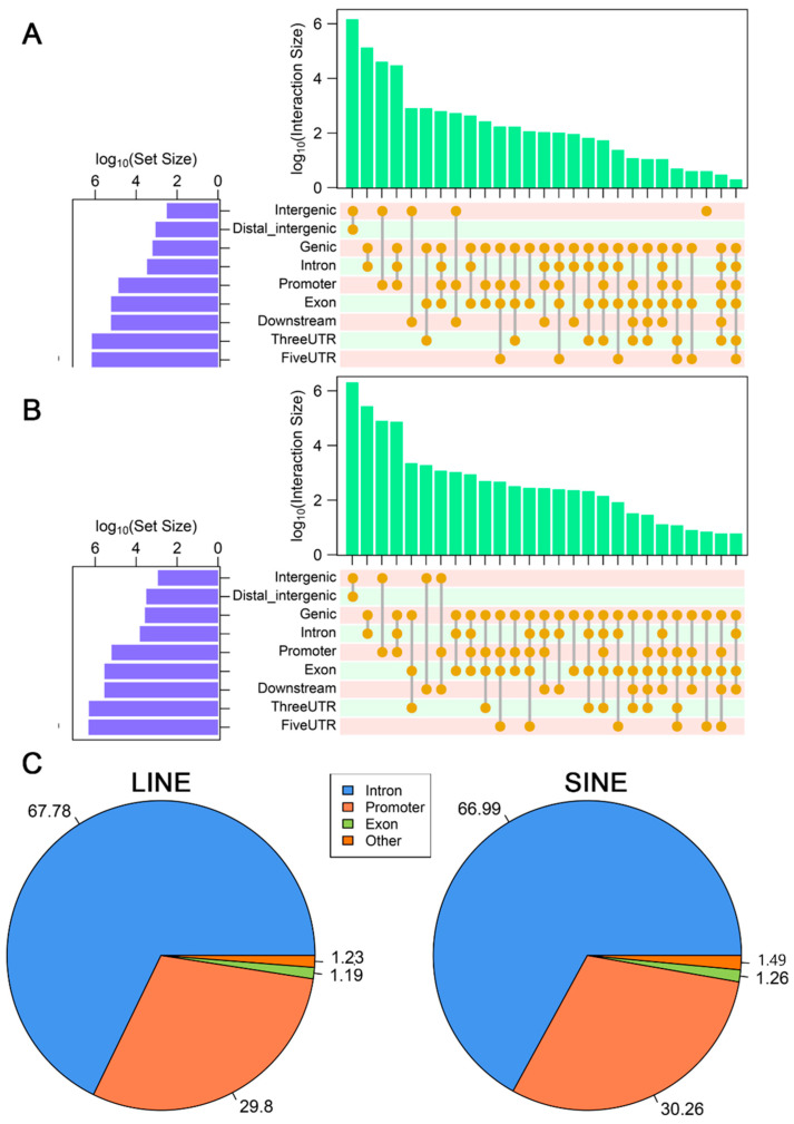Figure 24