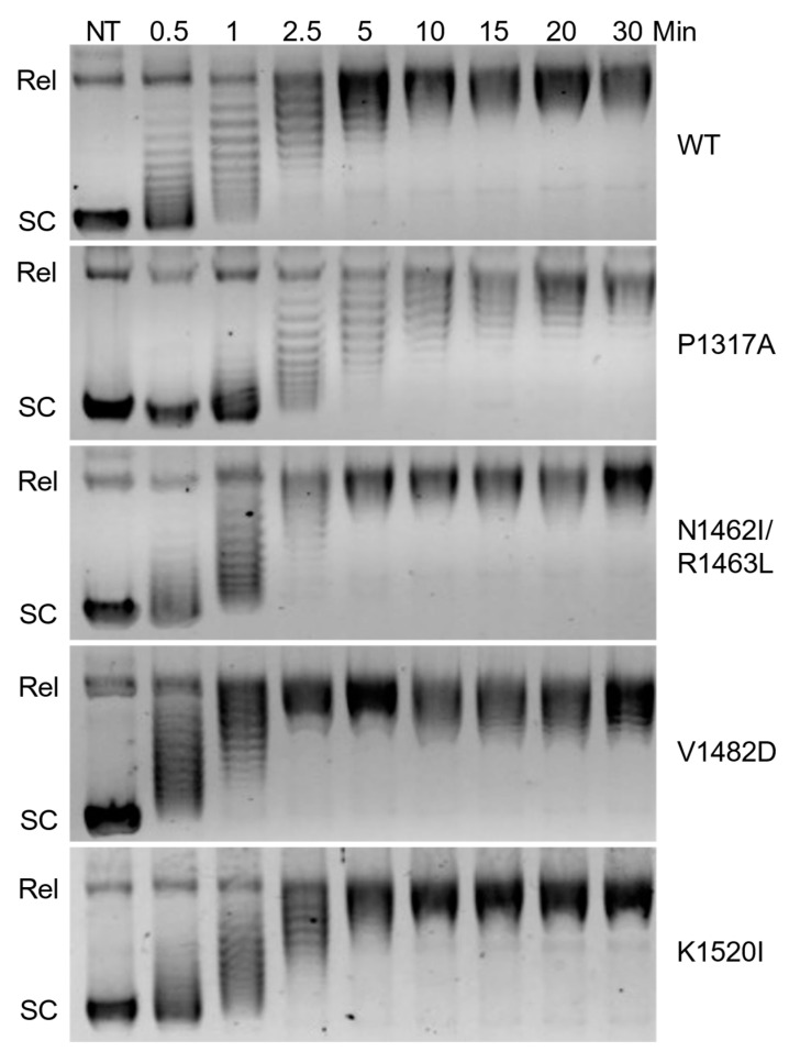Figure 2