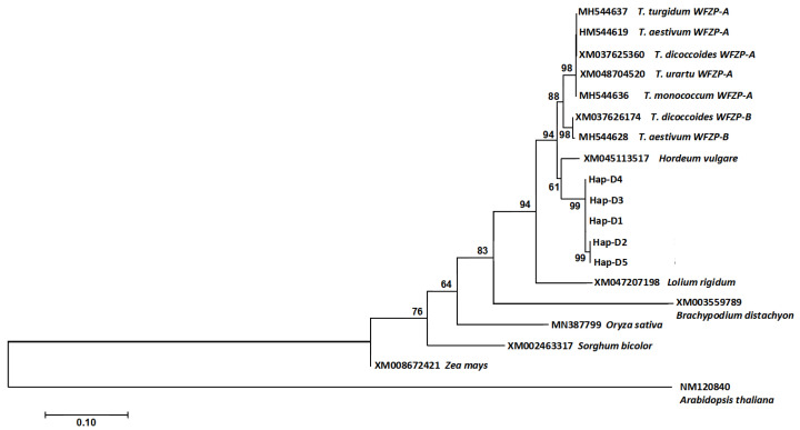 Figure 5